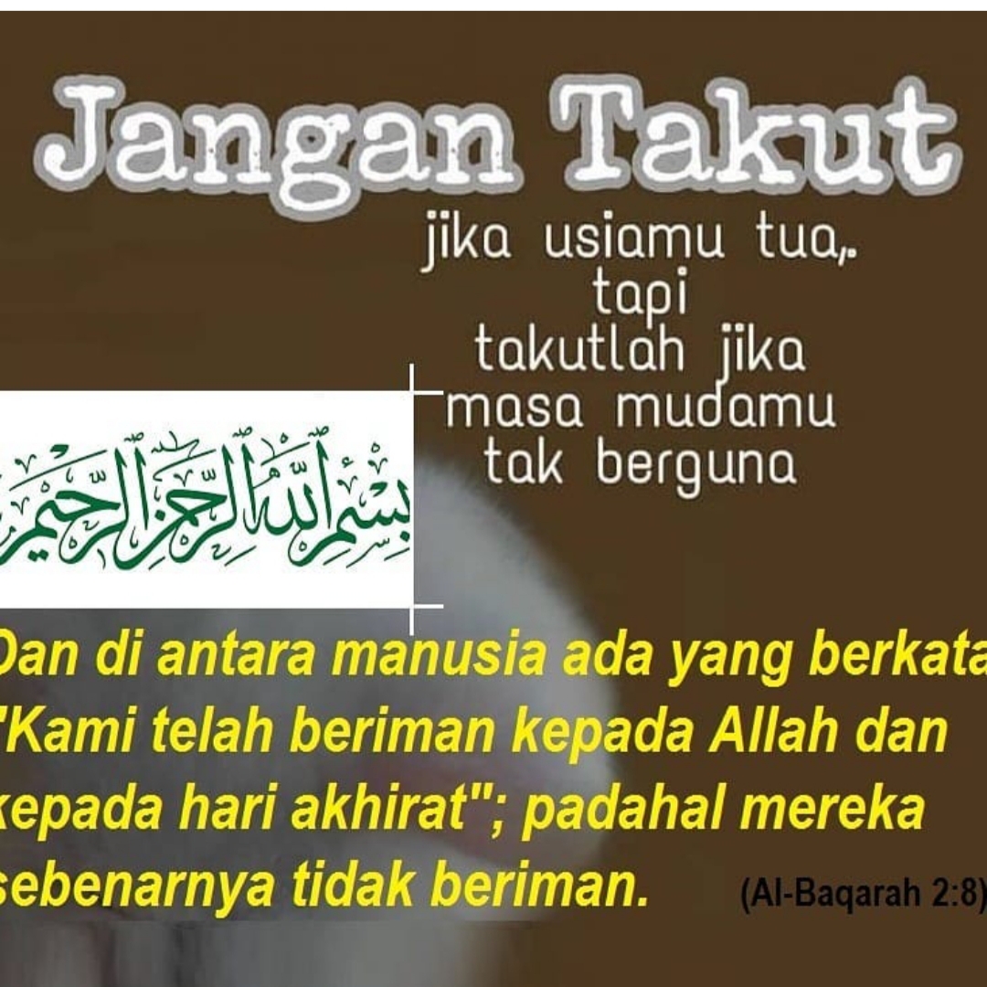 ROADMAP BESAR JARIKU.NET (3 TAHUN) FASA PERMULAAN → KOMUNITI → PLATFORM → EKOSISTEM