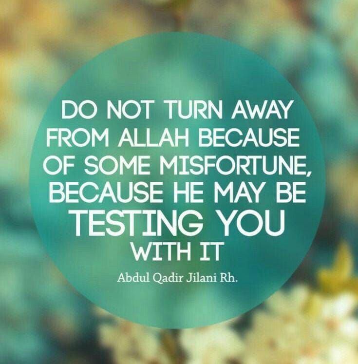 ROADMAP BESAR JARIKU.NET (3 TAHUN) FASA PERMULAAN → KOMUNITI → PLATFORM → EKOSISTEM