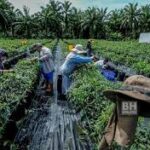 Logo AZB Maju Jaya Enterprise