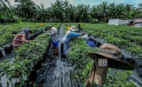 AZB Maju Jaya Enterprise