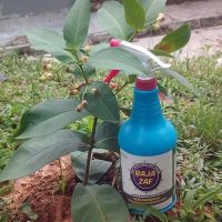 BAJA BERTEKNOLOGI TINGGI