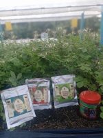 Barakah Agroculture Enterprise