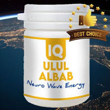 IQ ULUL ALBAB – PRODUK KESIHATAN MINDA