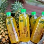 Logo MYJ Naturalle Sdn Bhd