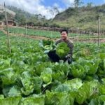 Logo SME HYDROPONICS