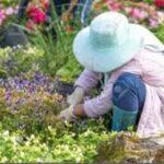 Logo AZILA ENTERPRISE