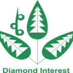 Logo Diamond Interest