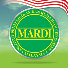 MARDI