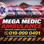 Logo Mega Medic Healthcare