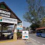 Logo D’Feringghi HAUS Batu Ferringhi, Pulau Pinang