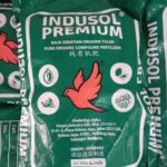 Logo Premium Store Perak Sancora PEMBORONG NATURAL BAJA