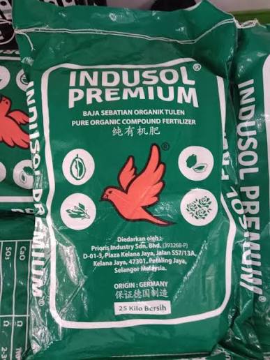 Premium Store Perak Sancora PEMBORONG NATURAL BAJA